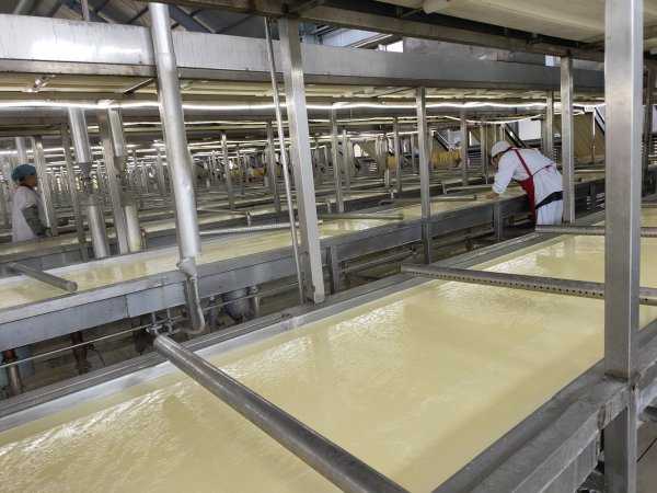 腐竹是什么做的