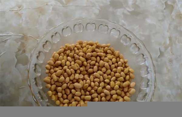 腐竹是什么做的