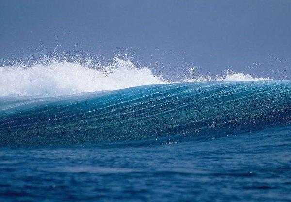 海水是什么颜色的