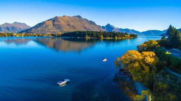 新西兰在哪个洲的国家