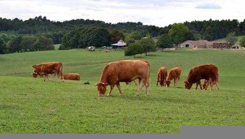 中国最牛的县城蒙城位于哪里