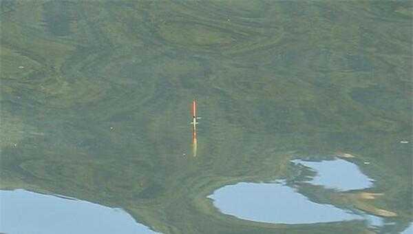 传统钓鱼调漂方法