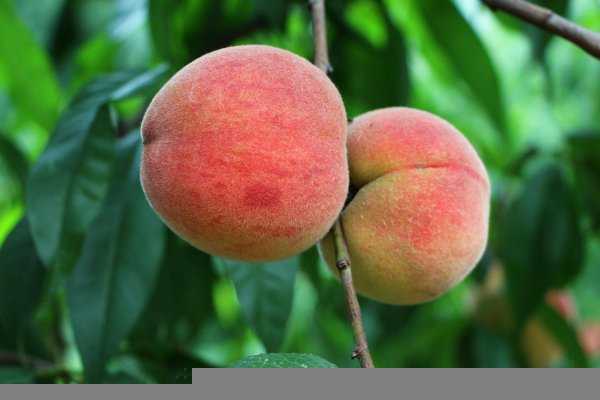 中国历史上著名的谋略故事