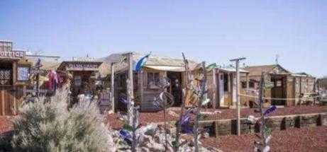 世界上唯一没有华人的国家