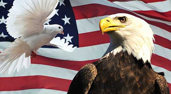 鹰鸽两派什么意思