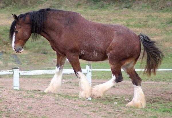 空调一匹二匹三匹是什么意思