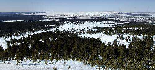 东北三宝是哪三宝