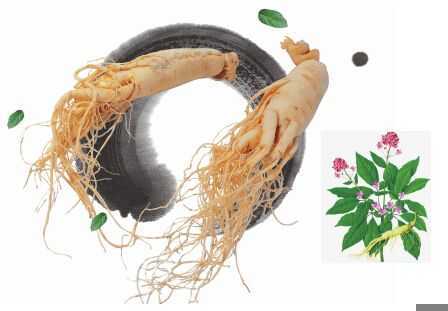 东北三宝是哪三宝