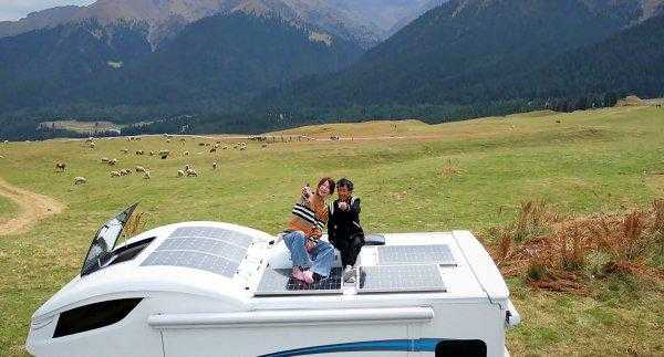 抖音张白鸽故事是真的吗