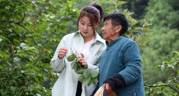 抖音张白鸽故事是真的吗