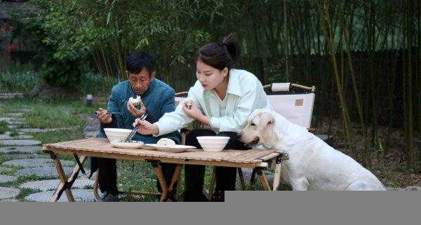 抖音张白鸽故事是真的吗