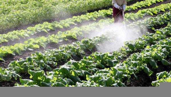 小苏打和白醋哪个杀虫效果好