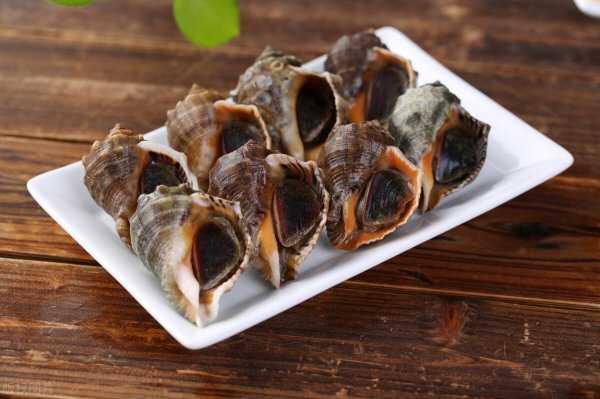 海螺煮多长时间最合适