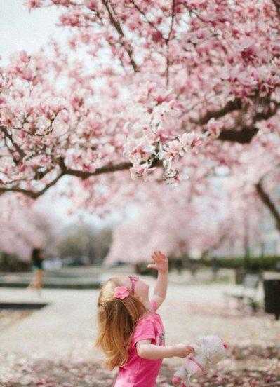 楚辞中最唯美的女孩名字