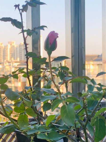 屋里回潮有什么解决的办法