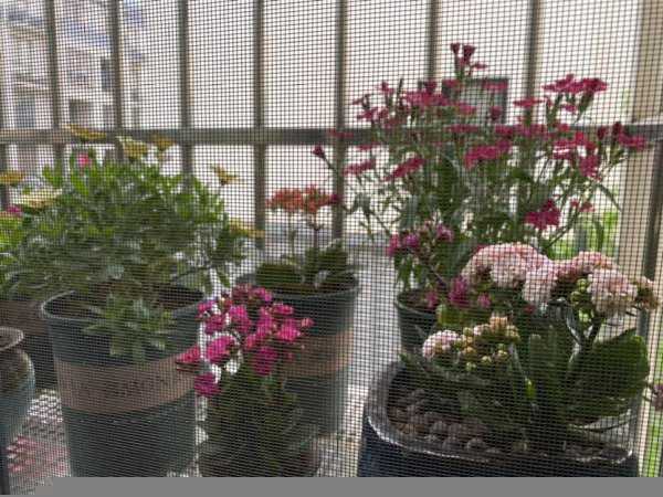 屋里回潮有什么解决的办法