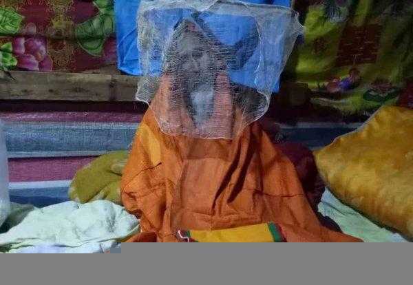 虹化什么意思真的存在吗