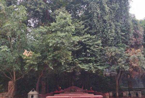 土地公几点不能拜