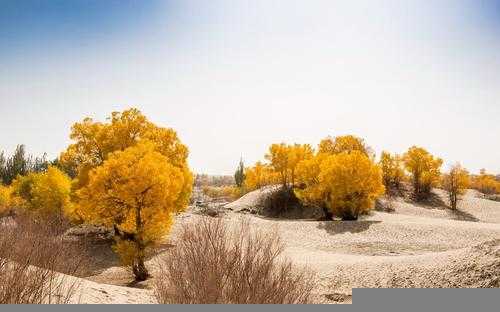 和田地区有几个县几个市