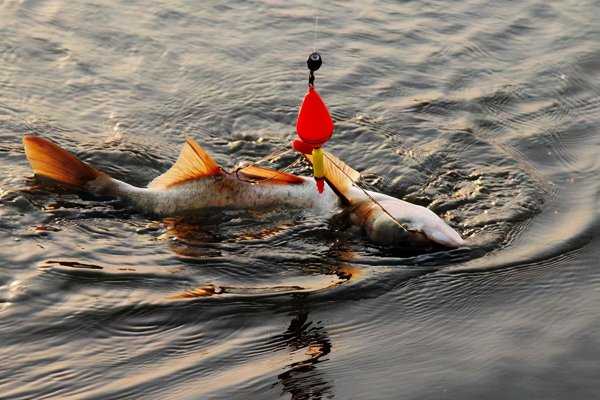 水深6一7米钓鲢鳙应该钓多深