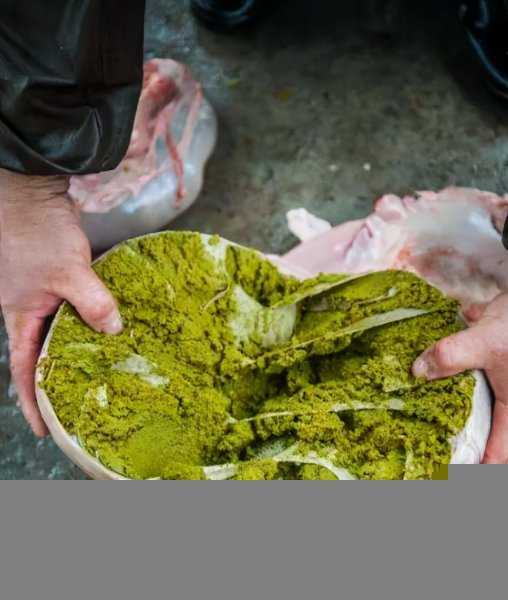 牛的四个胃分别叫什么