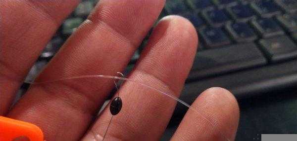 太空豆怎么穿在鱼线上