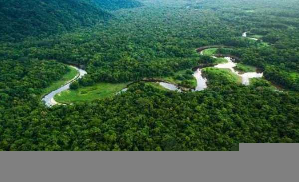 地球之肺是指什么