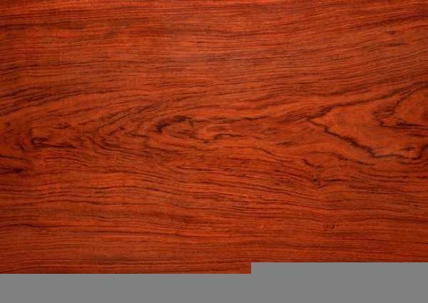 世界上最贵的木材排名价格表