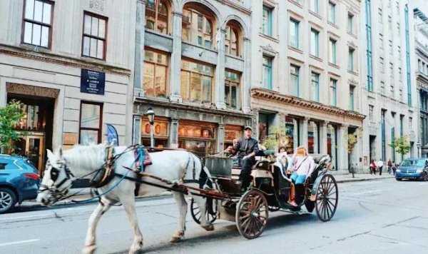 加拿大城市排名前三名