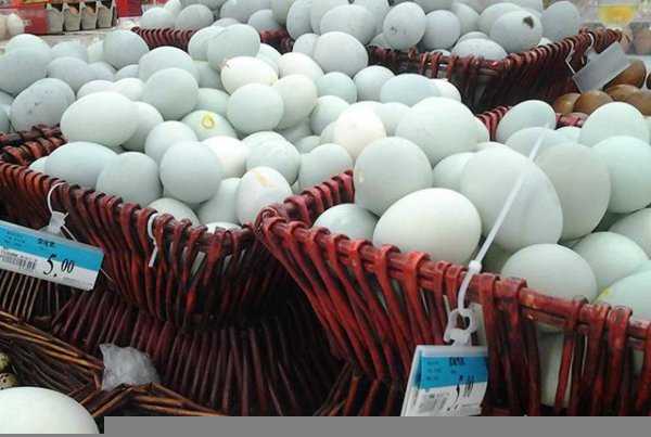 一个鹅蛋等于几个鸡蛋