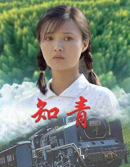 知青下乡经典电视剧