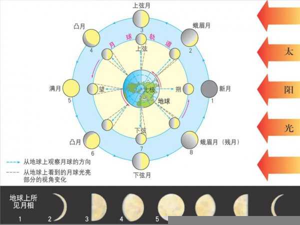 朔月和望月是什么意思