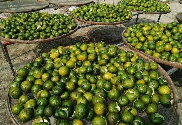 沙糖桔皮可以晒干做陈皮吗