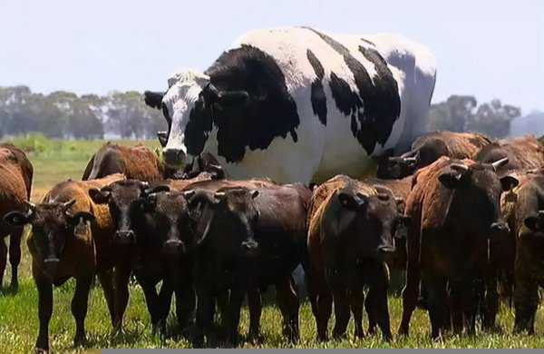 世界上变异动物有哪些