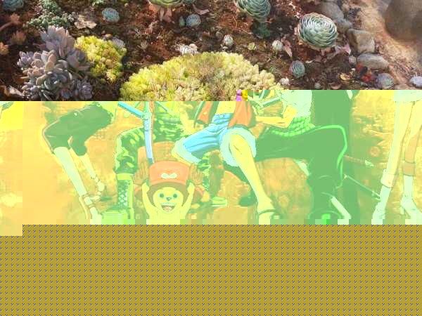 日本漫画排名推荐