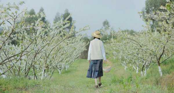 怎么拍照片好看有高级感
