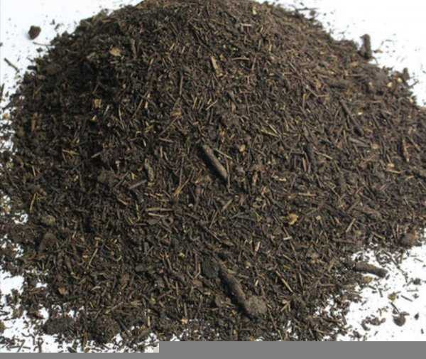 干松针可以直接拌土种花吗