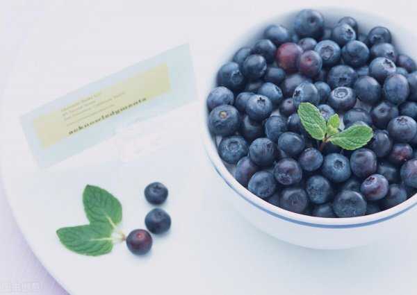 蓝莓怎么保存新鲜多久时间