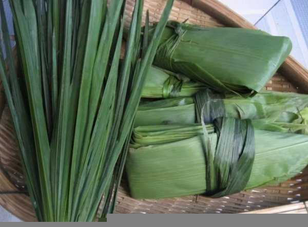 干粽子叶怎么处理才能包粽子