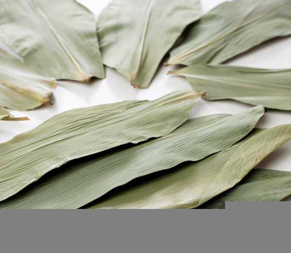 干粽子叶怎么处理才能包粽子