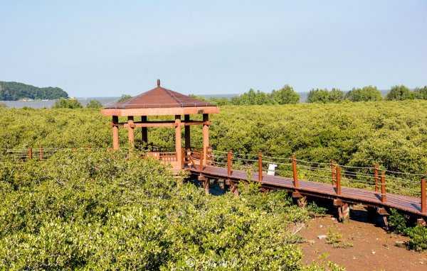 海陵岛在哪个地方