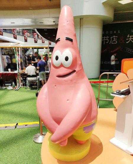 海星的特点简单介绍