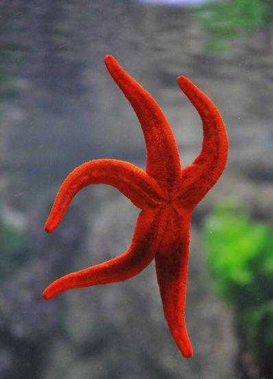 迷你世界召唤石巨人的方法