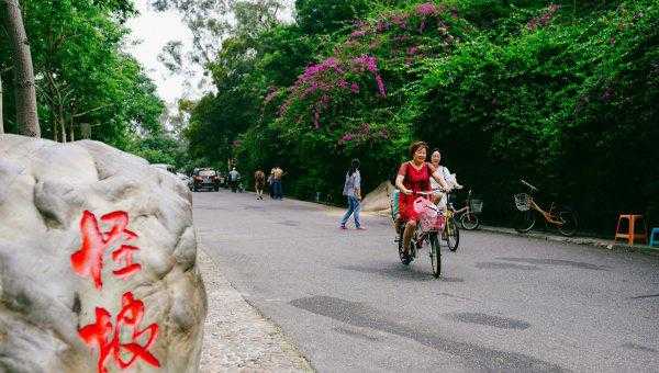 厦门怪坡在什么地方