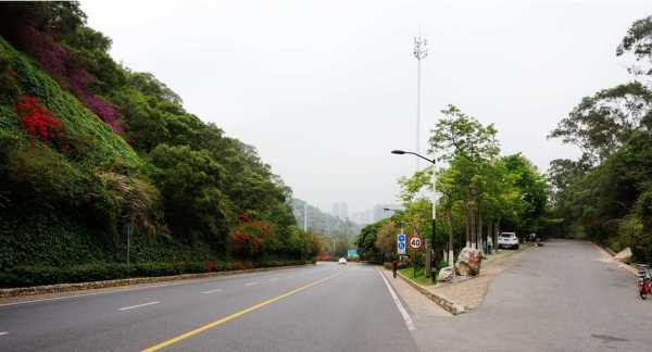 厦门怪坡在什么地方