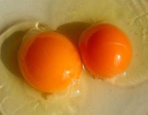 双黄蛋是激素催出来的吗