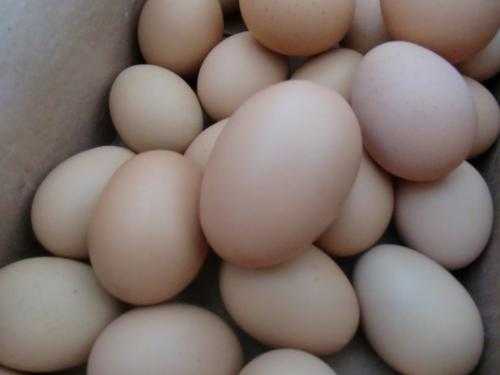 双黄蛋是激素催出来的吗
