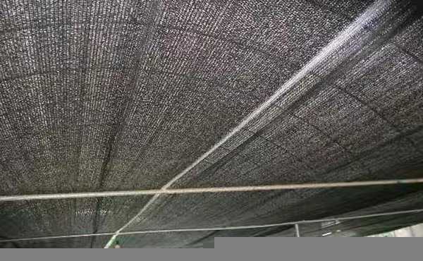 顶楼热有什么办法解决