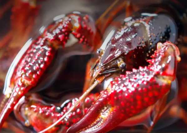 木头防腐处理的方法