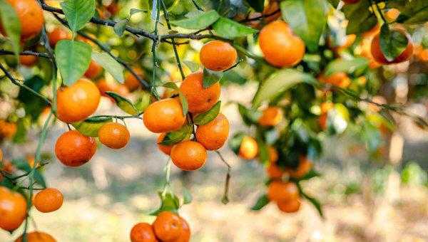 四会属于哪个市管辖